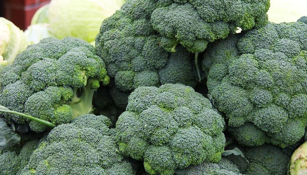Alimentation et Santé : Les Superfoods à Intégrer dans votre Régime